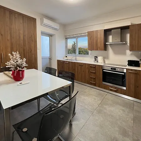 River View In Center Apartment Nicosia